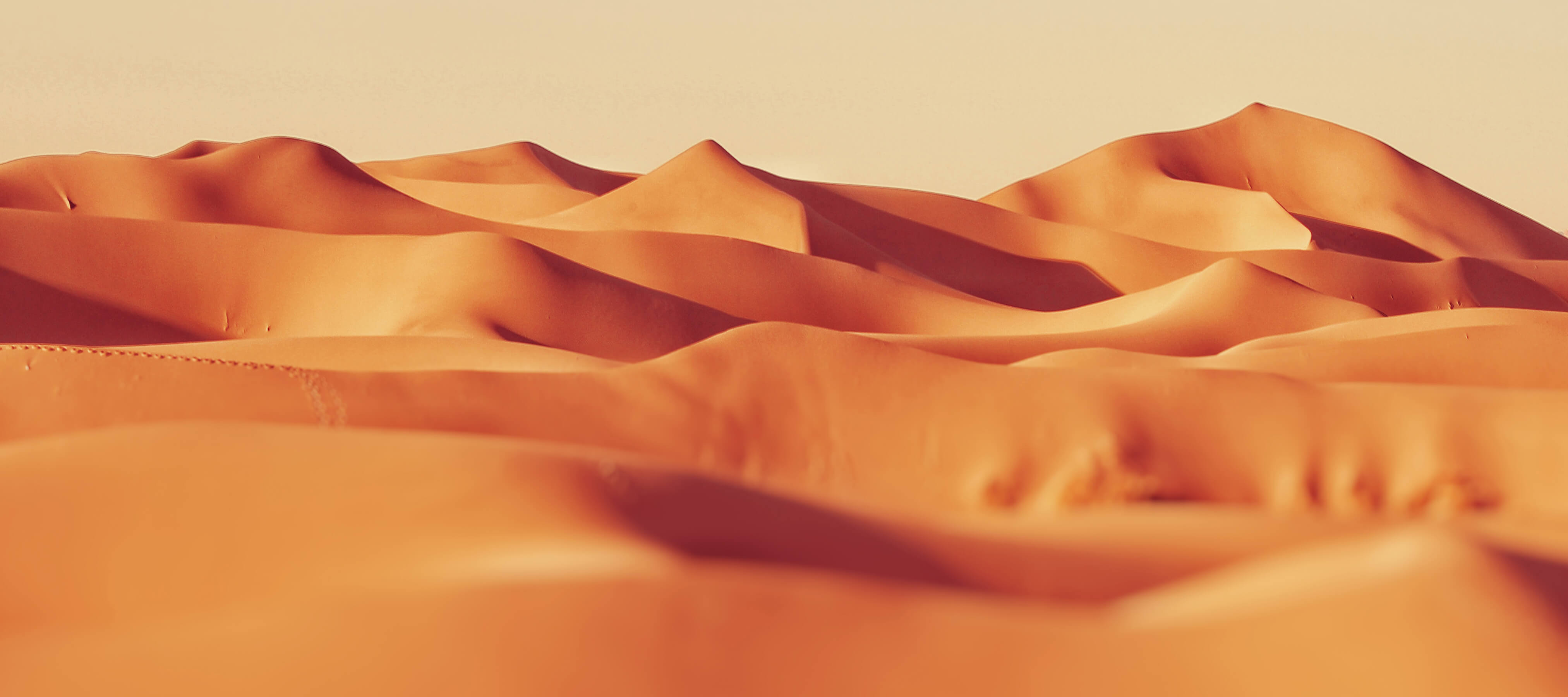 Ürtiker (Kurdeşen) ve Anjioödem Nedir? Dr. Ahmet Acar