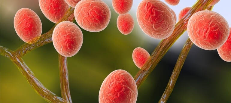 Kasık Mantarlarının Belirtileri ve Tedavisi